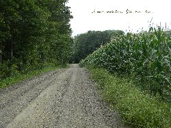 In our times of sufferfing God is there with us_250x187